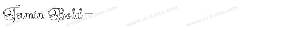 Termin Bold字体转换